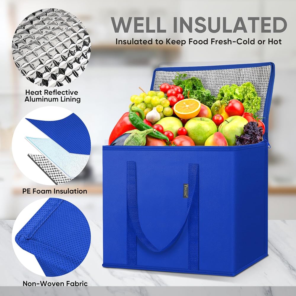 Cooler & Insulated Bags