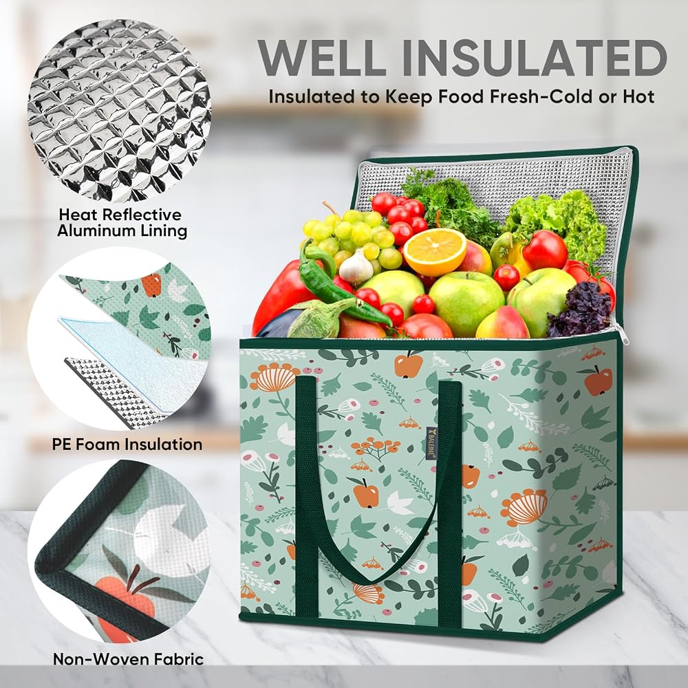 BALEINE 2Pk Insulated Reusable Grocery Bags, Collapsible Cooler Bag for Groceries, Heavy Duty Large Insulated Bag (16''x9''x13'', Spring Stroll)